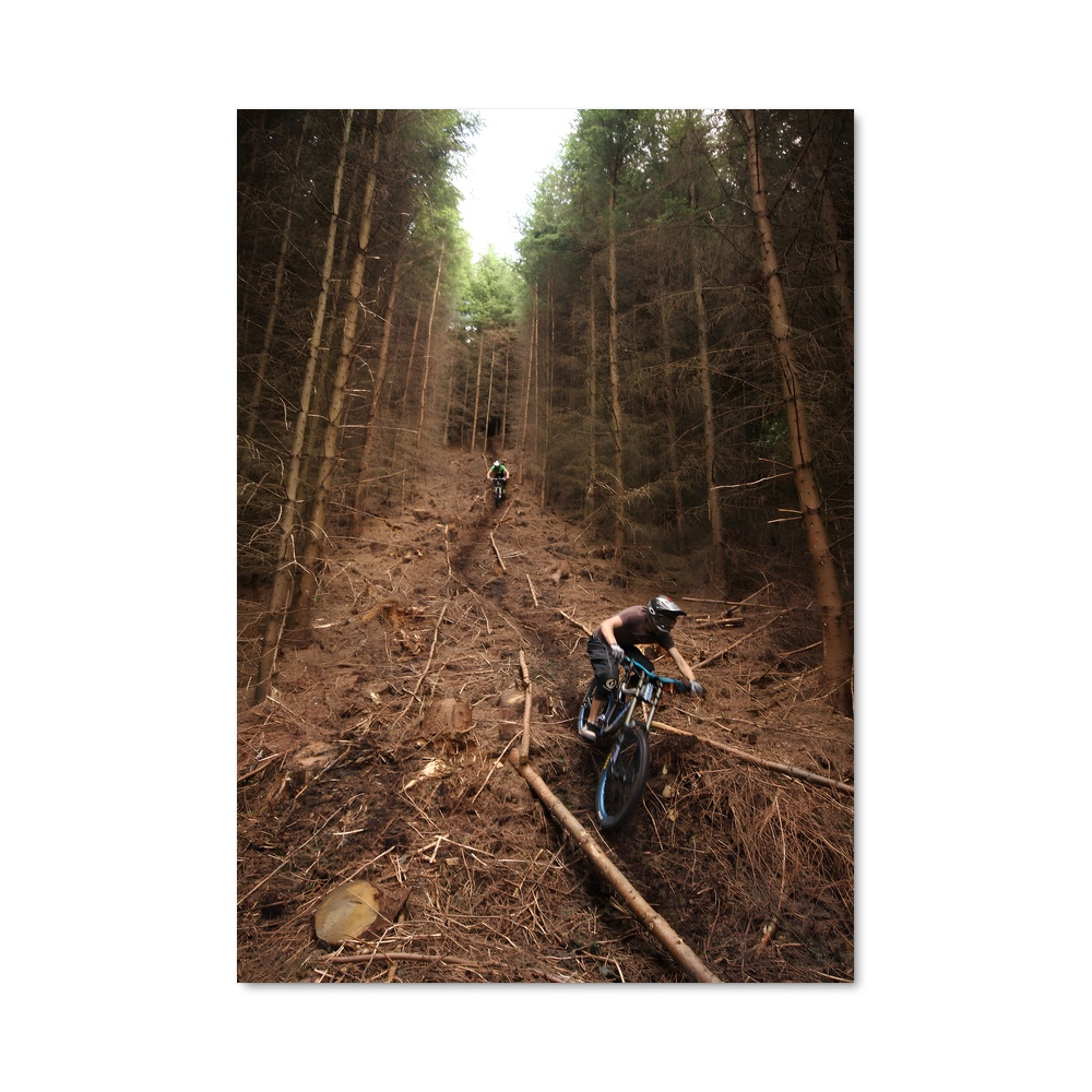 Poster Ride in the Wild – affiche Cyclisme